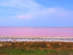 2013　ヨーロッパ周遊1ヶ月の旅　（1５）カマルグ＆アルル　海外で初めての運転！してでも見たいピンク色の世界
