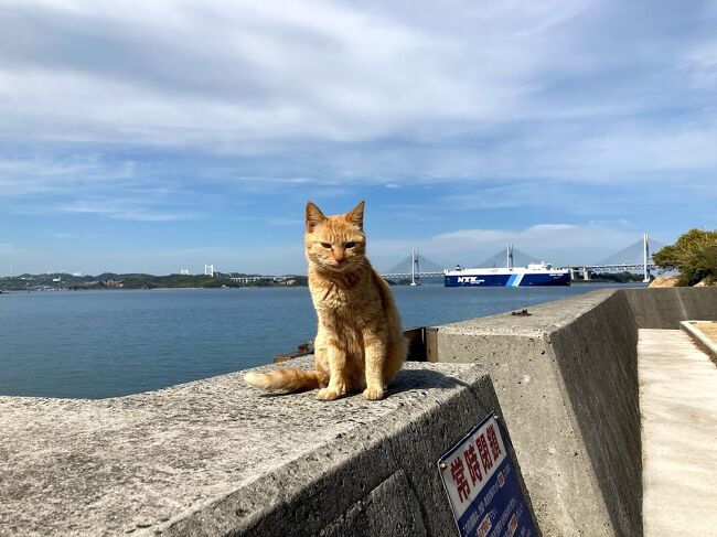 夫が特急サンライズに乗ってみたいと言うので香川県へ行くことに。<br />私は一足先に新幹線で行き、一人旅を満喫した後夫と合流しました。<br />天気も良く観光地は空いてたので快適でした。<br /><br />4/22<br />東海道新幹線　特急しおかぜ　丸亀　本島　アルファ―ワン丸亀泊<br /><br />4/23<br />がもううどん　鎌田醤油ミュージアム　四ツ谷シモン人形館　金刀比羅宮参道　敷島館泊<br /><br />4/24<br />夫と合流　金刀比羅宮参拝　丸亀城　一鶴で骨付鶏　アルファ―ワン丸亀泊<br /><br />4/25<br />つづみでうどん　栗林公園　エビスヤであん餅雑煮　丸亀町商店街　高松シンボルタワー　焼肉なかむら　特急サンライズ乗車<br /><br />4/26<br />帰宅<br />