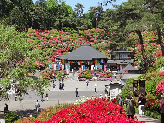 快晴でしたので、レンタカーで都道府県をまたがない青梅の塩船観音寺のつつじまつり*)に行ってきました。温暖化の影響か、今年は例年より10日程早く見頃を迎えております。広さ約5千坪のこのつつじ園は、後部が解放されて舳先が北北西に向いた船の形状をしており、その斜面に開花時期が1ヶ月近く異なる20種以上、約2万本の色とりどりのつつじが植栽されています。このつつじ園の形状のため、時刻によっては日陰になる部分があり、全体に日があたるのは昼前後と思います。駐車場は数ヶ所あって全部で約200台収容可能ですが、混んでいて駐車待ちをするのを避けるため、8:00の開園時刻に間に合うよう駐車場に着きました。つつじ園には11:00頃までいましたが、時刻によって見え方が異なりますので、この旅行記では必要に応じて撮影時刻を記載します。 <br /><br />*) 塩船観音寺とつつじ園の歴史等については付録に記載しましたので、ご興味のある方はご覧ください。 　<br />