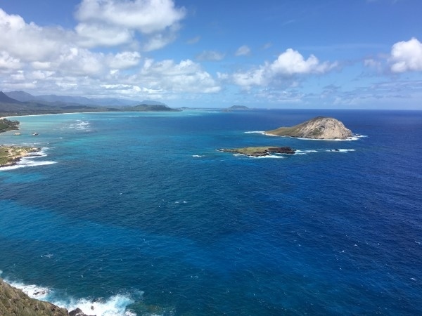 元々は2020年4月にオアフ島で開催予定だったホノルルハーフマラソン・ハパルアに参加するつもりで計画した旅行でした。それがご存知の事情で中止となり、全ての予約を2021年4月に変更。それが今年も中止となり「また一年待つの? そんなのイヤだ―」とハワイ行きを決めました。<br /><br />オアフ島滞在の二、三日目の様子を紹介します。全三回の二回目です。