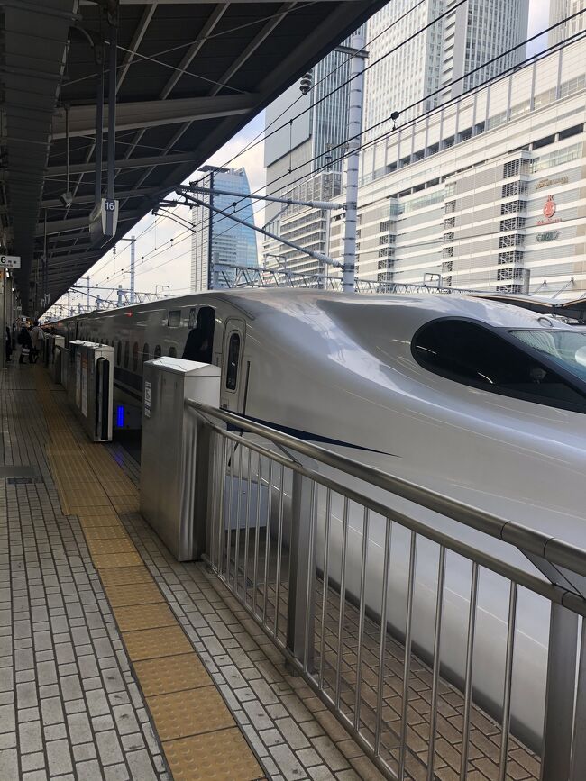 おばさんは東京の病院で今秋頃入院手術するかもしれないので、東京の病院に診察してもらいに行きました。<br /><br />大学病院の先生の予約はなかなか取れないので、コロナに気をつけて行ってきました。<br /><br />その後体調の変化もないので、自分の記録も兼ねて旅行記をアップすることにしました。<br /><br />緊急事態宣言が出てるのに東京に行ってごめんなさい。<br />私もこの時期に行きたくなかったけど、でもどうしても必要だったんです。