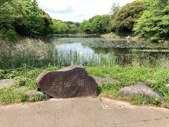 満開から一ヶ月、八重桜も含め完全に葉桜になった「県立三ツ池公園」でした。