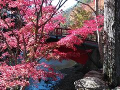 2020秋　GOTO県内、紅葉狩り　～奥三河、蒲郡～