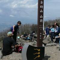 箱根外輪山、カヤトだらけの道を行く　part2：金時山