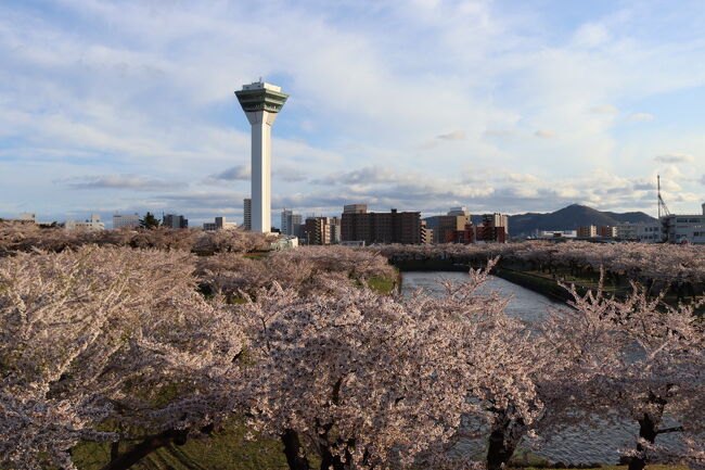 市電の１日乗り放題券で函館市内の花見スポットを巡ってきました