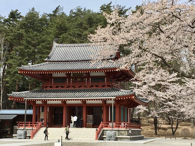 蓼科の聖光寺の桜が満開の時期に合わせて温泉へ保養の旅に行ってきました。<br /><br />1日目は安曇野の国営公園でチューリップの花見をしてホテルへ。<br /><br />2日目は予約しておいたホテルのワンデイトリップに参加しました。<br />テラス蓼科の宿泊者は無料で参加できます。<br />開催日と行き先を確認して事前予約して参加です。<br />入場料や昼食代は自己負担です。<br /><br />3日目は聖光寺の桜の花見をしてビーナスラインをドライブして帰りました。<br /><br />天気も良く温泉に花見に美味しい食事に楽しく過ごせました。<br />テラス蓼科は会員制で今回は会員料金で宿泊しました。<br />一般の料金で宿泊することもできるリゾートホテルです。