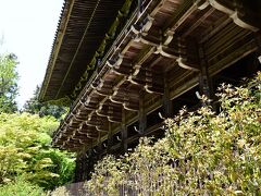 新緑に映える書写山圓教寺