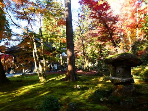 京都 大原 三千院(Sanzen-in Temple, Ohara, Kyoto, JP)』八瀬