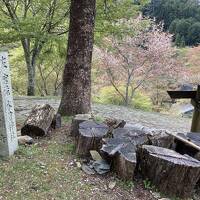 【日本一の吉野の桜を求めて】吉野駅から奥千本まで足で登ったぞ！