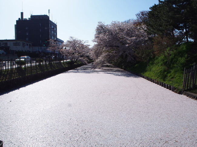 以前、弘前公園の花筏(はないかだ)の写真を見て心を奪われ、いつか行きたいと思っていました。<br /><br />今回やっとチャンスが巡ってきて、念願叶って行ってきました😆<br /><br />想像以上に素晴らしかったです✨<br />47都道府県行った私が思う、日本<br />オススメランキング5位以内に入ります!<br /><br />2021年の見頃は終わってしまいましたが、<br />見たことない方は、来年以降にぜひ見に行って欲しいです♪<br /><br />2021年は、4月18日には満開になったので、私が着いた23日は少し遅かったです💦<br />ただ、花筏は満開の4日後くらいから見れると聞いていたので、花筏にはちょうど良かったです。<br /><br />今回の旅程はこちら。<br /><br /><旅程><br />4/23 東京→青森(新幹線)、弘前公園 ★今ココ<br />4/24 弘前公園<br />4/25 岩木山周辺、高山稲荷神社、驫木駅<br />4/26 五能線、白神山地 青池、不老ふ死温泉<br />4/27 五能線、黒石散策、青荷温泉<br />4/28 青森→函館、五稜郭、湯の川温泉<br />4/29 五稜郭、函館散策<br />4/30 函館ベイエリア・元町 散策<br />5/1 五稜郭タワー、函館→東京(飛行機)<br /><br />それでは、弘前の絶景桜をどうぞ!