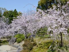 京都市内の桜・その２（平安神宮・十石舟めぐり）