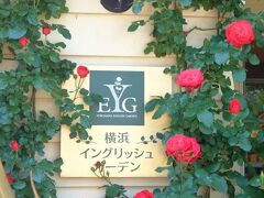 横浜イングリッシュ・ガーデンの春バラ
