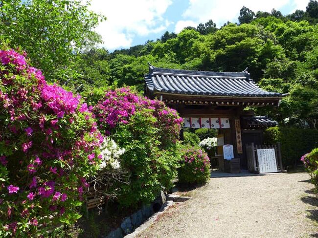 関西花の寺  !  船宿寺