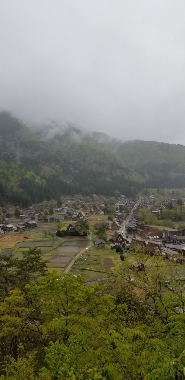 夏の黒部ダムに長野から入って行ったことがあったので、雪の大谷の時期に富山の立山から入るルートで計画しました。<br />立山黒部アルペンルートの往復チケットも購入して準備万端で行きました。<br />雨続きの富山でしたが、まさか立山黒部アルペンルートに行けないなんて全く想像していませんでした。<br />結果、行きたかった立山黒部アルペンルートには行けませんでしたが富山のおいしい食べ物で満足した旅になりました。<br />そして、少しだけ岐阜県にも行けました。　<br />その少しだけの白川郷と飛騨高山です。<br />以前、毎年来ていたこのまちに久しぶりに来れて幸せです。<br />時間がなかったのが残念でした。