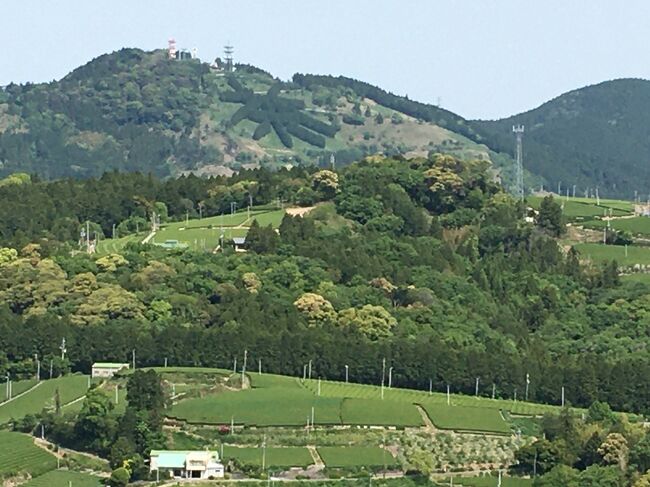 東海道五十三次を歩く旅☆其の二十五☆金谷宿→日坂宿☆新緑が美しい茶畑を眺めながら峠越え