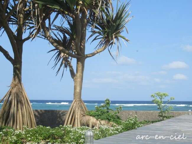 【交通手段】JAL<br />【宿泊先】伝泊 アダンと海みる宿(4泊)<br /><br />【行程】<br />4月12日(月)伊丹空港→奄美空港→伝泊 アダンと海みる宿<br />4月13日(火)伝泊 アダンと海みる宿<br />4月14日(水)伝泊 アダンと海みる宿<br />4月15日(木)伝泊 アダンと海みる宿<br />4月16日(金)伝泊 アダンと海みる宿→奄美空港→伊丹空港<br /><br />前回、『伝泊 The Beachfront MIJORA』でバケーションレンタルを初体験し、とても楽しかったので、今回は、伝泊の古民家で、少し長めのバケーションレンタル&ワ―ケーションを試みました。<br /><br />前回と違い、集落の中の一軒家。<br />車に乗らない私たちにとっては、5日間のおこもりの間の食材等、不足があると生死に関わるので(^^;)、万全の準備をして、いざ奄美大島へ出発です。