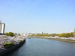 大阪・大川さくらリバークルーズ