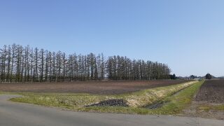 「AIR DOひがし北海道フリーパス」で行く北海道満喫の旅2021・05(パート３・３日目前編)