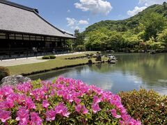 天龍寺★ここの庭が心を洗ってくれた