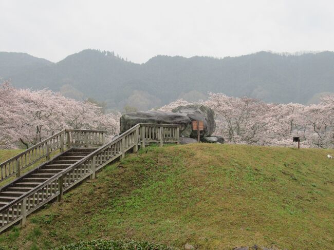 今回は父の希望で、奈良の明日香と和歌山の熊野がメインです。<br />利便性やコロナのことも考えてドライブ旅行にしました。<br />どこへ行っても思ったより観光客が多かったです。<br />行く先々でちゃんとコロナ対策をとられてて安心できました。<br />1日目　3月28日（日）雨　奈良<br />橿原神宮　→　明日香村（橘寺・亀石・石舞台古墳・高松塚古墳・キトラ古墳・飛鳥寺）<br />宿泊　ホテル&amp;リゾーツ和歌山みなべ<br />2日目　3月29日（月）曇　和歌山<br />熊野三山（熊野本宮大社・熊野速玉大社・青岸渡寺・那智大社・那智の滝）<br />宿泊　ホテル浦島<br />3日目　3月30日（火）曇　和歌山<br />串本　→　潮岬　→　白浜