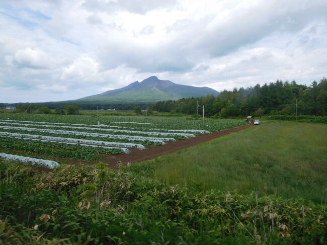北海道旅行4日目。<br /><br />大沼公園の後は日本一の秘境駅、小幌を観光します。