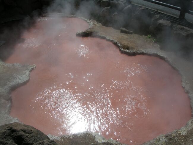 2021年4月23日(金)~30日(金)まで、九州旅行に行ってきました。<br />北九州市の八幡製鉄所を皮切りに門司港レトロ・下関エリア、別府温泉、阿蘇、熊本、大牟田、大宰府天満宮と九州の上半分をぐるっと周遊しました。<br />旅行記その4は別府鉄輪温泉の地獄めぐり、明礬温泉、八幡竈門神社まで。別府の王道観光地をじっくり観光します。