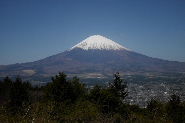 ４月１８日～２３日<br /><br />いつものシニア夫妻２組がヴァークスイート箱根に５泊の旅に出た<br /><br />宿泊場所が仙石原なのでその周辺の散策が主だが、強羅や御殿場、最終日には<br /><br />大涌谷も楽しんだ<br /><br /><br /><br />