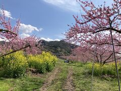 桃源郷に遊ぶ　2021年４月