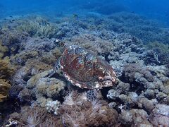 バリ島の自然に癒されたい　４日目