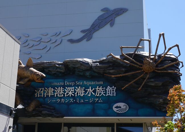 甥っ子たちとのgw 1 沼津港深海水族館他 沼津 静岡県 の旅行記 ブログ By Mo2さん フォートラベル