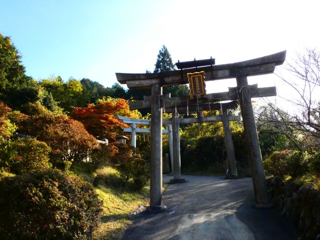 京都 大原 三千院道 (Sanzenin Temple Road, Ohara, Kyoto, JP)