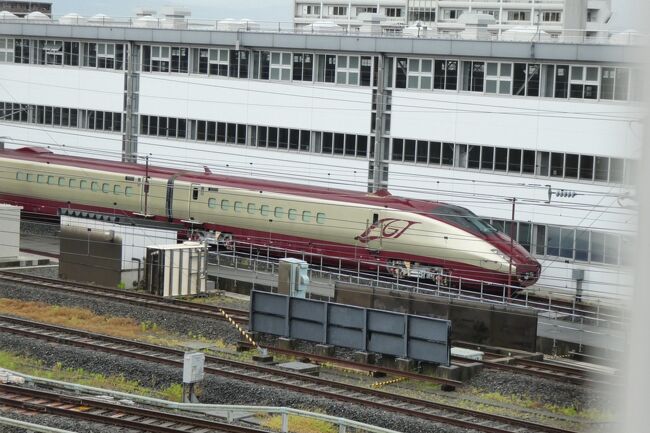 熊本市内～天草間にいつも寄るポイントがありました。ここんとこ快速あまくさ号で移動のため、寄る機会がありませんでしたが、今回は車。<br />流れ星新幹線も休憩中だったし、雨も止んでいたこともあって、久しぶりに寄ります。