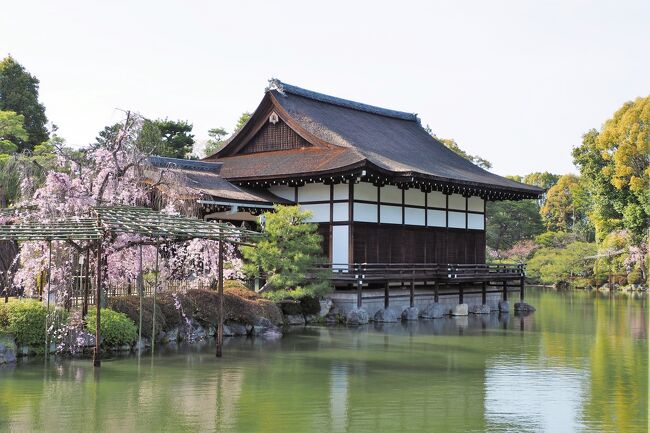春爛漫の京都・近江桜旅（5）平安神宮から岡崎疏水、南禅寺までの桜散歩