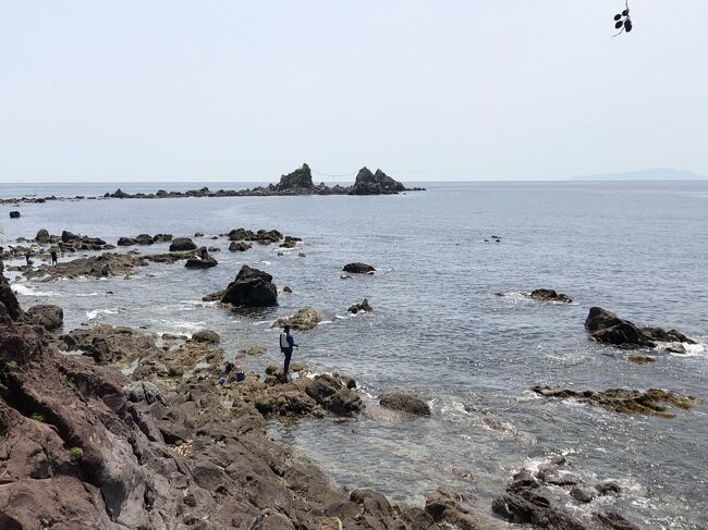 東海道線の真鶴駅から、真鶴半島をぐるっと、歩いて回りました。往復で8キロ。<br />真鶴半島は、海まわり、山まわりという2つの道があるので、行きは海まわり、帰りは山まわりで散策しました。<br /><br />行き:<br />真鶴駅から、真鶴港、琴ケ浜海岸をまわってケープ真鶴(道の駅)へ。<br /><br />真鶴岬の先端で、崖を海岸まで下って、三ツ石から潮騒遊歩道を歩いて、<br />番場浦海岸まで。<br /><br />帰り:<br />番場浦海岸から半島の真ん中、森林の中に入り、中川一政美術館、<br />お林展望公園をまわって真鶴駅へ。