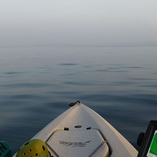 今年初の釣行