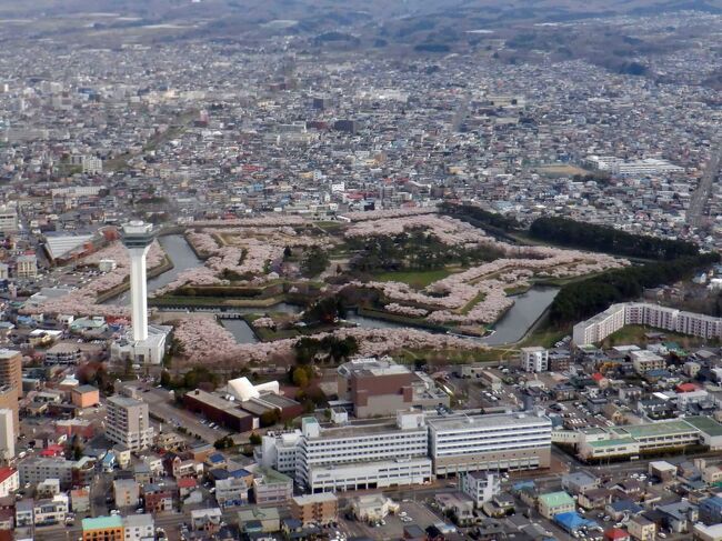 北海道の翼　AIR DOで行く日帰りお花見　上空から五稜郭が見れるといいな♪<br /><br />今まで函館とは相性が悪くて<br />1回目　雨<br />2回目　函館は吹雪　帰りのバニラエア欠航　代りのANAは羽田強風でセントレア　ダイバート<br />3回目　桜はつぼみ　やっぱり雨でカイロ購入するくらい寒い　この時は桜を期待してきたわけではないんですが<br /><br />今回はどうなるんでしょうかね？