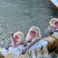 桜満開☆初めての函館　静かにひとり旅　湯の川温泉編　③