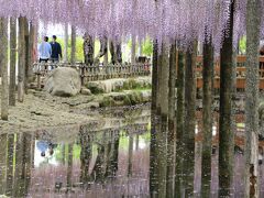 津島・愛西・蟹江の旅行記