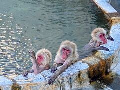 桜満開☆初めての函館　静かにひとり旅　湯の川温泉編　③