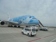 A380　ＦＬＹＩＮＧ　ＨＯＮＵ　JA381A　に乗りました-2【ANA ３０８０】