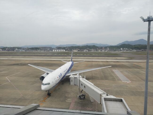全然、旅行に行けてないので、ちょっとだけでも旅行気分を味わえないかと、ぷらっと福岡空港へ、行っただけの日記です。