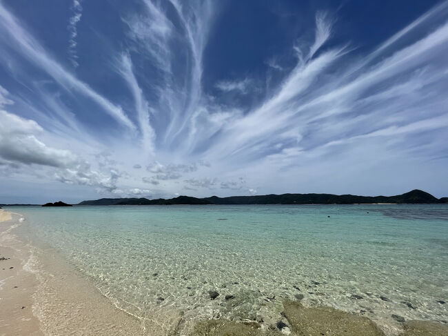 奄美、海と空と鳥と蝶と。行ったところ、食べたもの編。