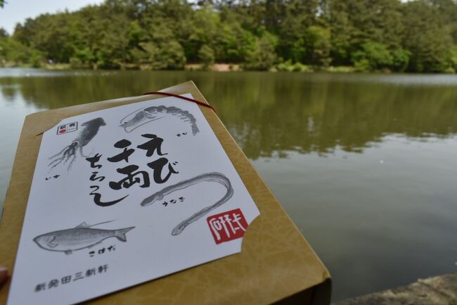 観劇のため新発田へ。<br />時間があって天気が良ければ近くの山にハイキングしたかったけれど、前日と翌日も雨のため取りやめ。<br />それでも緑豊かな場所に行きたかったので、観光案内所で電気自動車をお借りしてあちこち周りました。楽しかった!!<br /><br />次回はアヤメが楽しめる時季に来たいです!