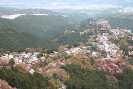 咲き誇る花々、そして温かい友人達に迎えられた京都・奈良旅（3）3日目は友人の案内で、けいはんな記念公園と奈良の室生寺へ。4日目は一人吉野山へ