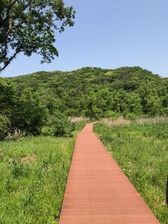小網代の森を歩く 三浦海岸 三崎 神奈川県 の旅行記 ブログ By Genkiさん フォートラベル