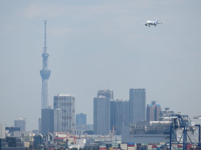 　２０１９年まで、毎年ＧＷには海外旅行に出ていた。 残りの時間が少なくなってきている事を実感した時、今あるお金をどう使おうかと考えた時に、貯金するより旅に出よう！という考えで夫婦は一致した。<br />昨年は全ての飛行機が欠航になり、ＧＷは大人しくステイホームとなりました。<br />　海外に行けない今、日本にも良い所は沢山ある。今年は少し日本に目を向けようと沖縄の旅を計画しました。<br /><br />《２０２１年》<br /> ★5/3　羽田（11:25）－石垣（14:35）ANA91<br />　　　　炭焼肉「石田屋」で夕食　　　　<br />　　　　ハッピーホリデー石垣島泊<br /><br />   5/4　八重山観光フェリー　石垣島（10:30）発－竹富島行き（約15分）<br />　　　　竹富島観光<br />　　　　「マキ」でランチ<br />　　　　八重山観光フェリー　竹富島（13:20）発－石垣島行き（約15分）<br />　　　　安栄観光　石垣島（14：40）発－小浜島行き（約30分）<br />　　　　ホテル界隈のプライベートビーチを散策＆海水浴<br />　　　　焼肉「やらます」で夕食　　　　<br />　　　　CANAAN Coffee&amp;Hotel泊<br />   <br />　 5/5　電動自転車を借りて島内をサイクリング（10：00～14：00）<br />　　　　ビーチカフェ「Saltyeed」でランチ<br />        　またまた焼肉「やらます」で夕食　<br />       　 CANAAN Coffee&amp;Hotel泊<br />　<br />　 5/6　安栄観光　小浜島（09：50）発－石垣島行き（約30分）<br />　　　　石垣港離島ターミナル近く「マルハ鮮魚」でマグロの刺身とご飯でランチ<br />　　　　ホテルで自転車借りて９キロ先の石垣島ＳＵＮファームを目指す<br />　　　　光楽園でトロピカルジュースを飲みながら休憩　<br />　　　　サンセットフィッシングに参加（15：20）<br />　　　　帰港後そのまま居酒屋海八へ<br />　　　　ホテルイーストチャイナシー泊　　　<br />   <br />　　5/7　レイトチェックアウトをリクエストして<br />　　　　 サザンゲートブリッジを渡り南ぬ浜町人工ビーチに行く<br />　　　　 12：50チェックアウト<br />　　　　 13：00石垣港離島ターミナル発空港行きバスに乗車（直行約30分500円）<br /><br />　　　　 石垣（15:25）－羽田（18:10）ANA92