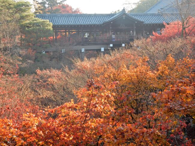 2020年12月に京都を訪れた旅行記の続きです。<br />1年経過してしましたが、2021年11月に再訪した旅行記もあるので、その前に残りを2回に分けて記します。<br />古い情報になってしまいましたが、ご覧いただければ幸いです。<br /><br />旅の2日目は、早くにホテルを出て東福寺に向かいました。<br />京都を訪れる際には必ずといって良いほど何度も拝観している東福寺ですが、今回はメインの「通天橋」の他に特別拝観など半日をかけてじっくりと拝観してきました。<br />