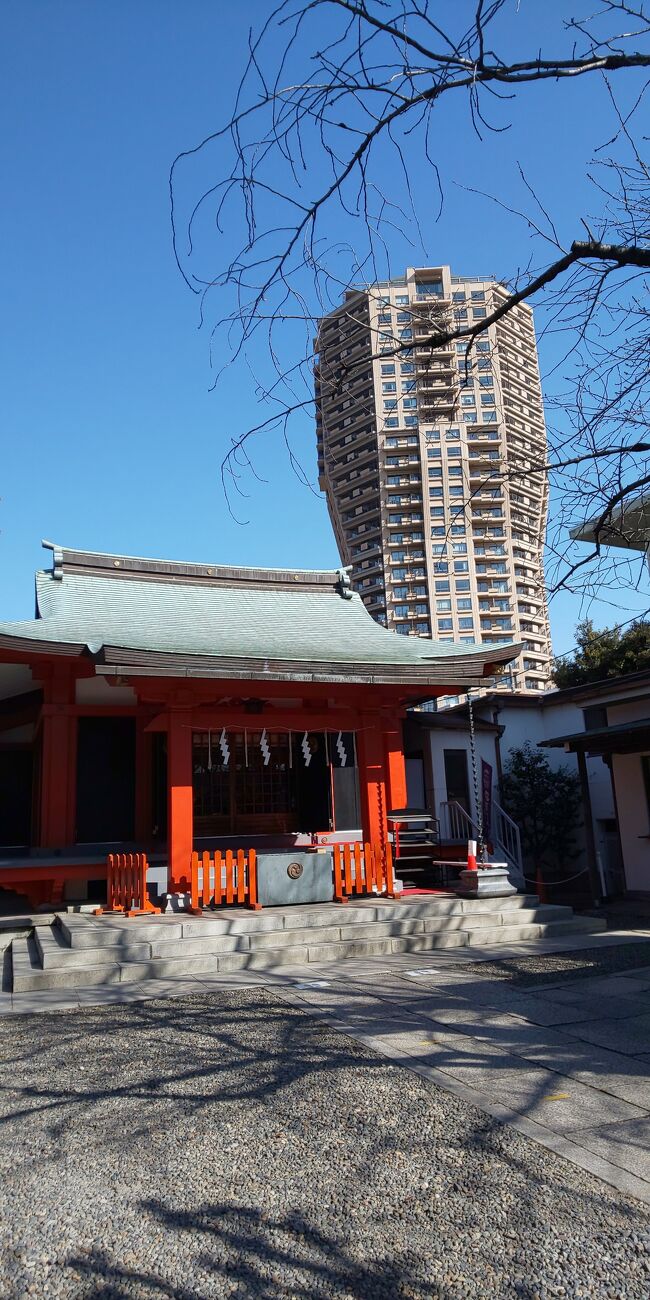 長傳寺わきにあった一本松坂の一本松をみて、坂道をすすむと氷川神社がありますので参拝してきました。<br /><br />麻布は坂道が多い土地です。しかし、由来の標柱をみてるととてもおもしろいものが多いです。