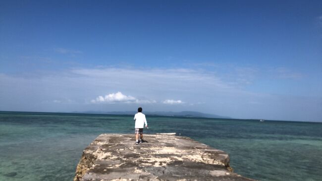 石垣島2日目。<br />この日のスケジュールは悩みました。<br />折角だから、竹富島だけでなく西表島でトラッキングやマングローブカヌーや離島巡りをしようかなと。<br />色んなプランが浮かぶ中、南の島でのんびりしたい。という主人の言葉がよぎり、<br />基本はシュノーケリング ！朝まだ海の冷たい間に昼間は暑い竹富島のサイクリング。あとは状況次第でと決めました。