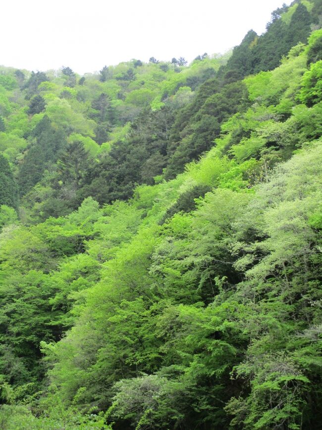 2021 新緑の茶臼山と道中の石仏たち